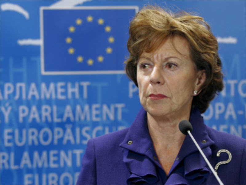 Neelie Kroes: Europe needs to embrace a cloud strategy, avoid national ...