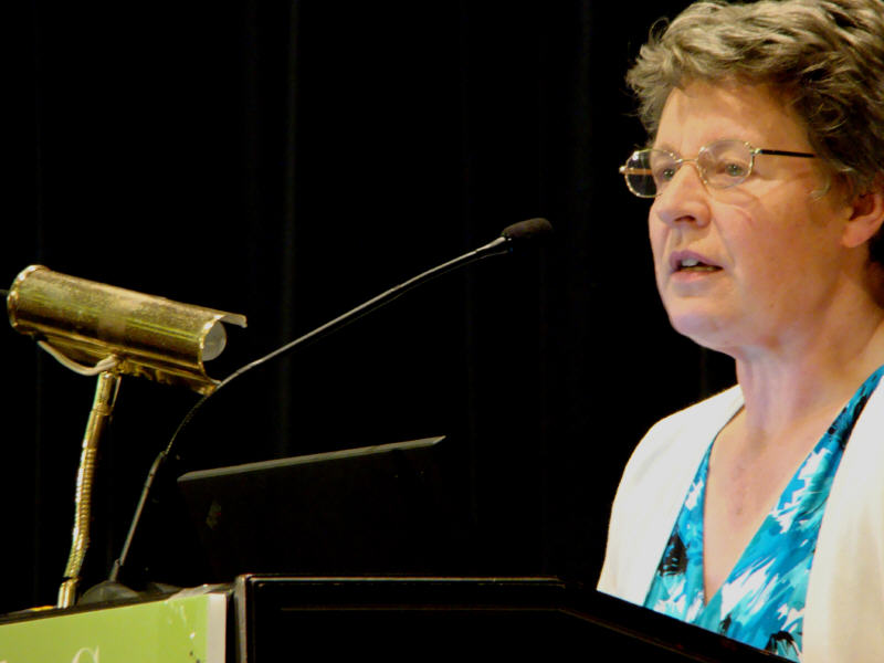 Dublin event to pay tribute to astrophysicist Jocelyn Bell Burnell