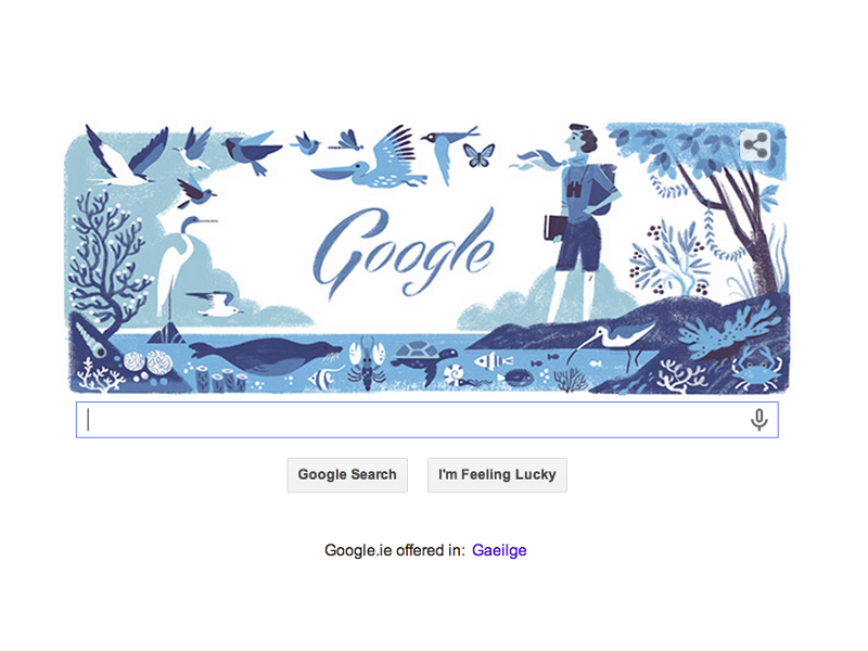 Rachel Louise Carson’s 107th birthday is immersed in marine wildlife Google Doodle