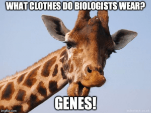 10 memes only a zoologist would understand