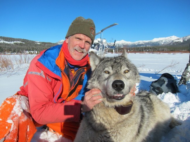 Doug Smith, senior wildlife biologist at Yellowstone National Park | Yellowstone wolves