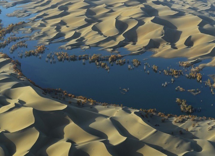 deserts-are-carbon-sinks-sucking-up-30pc-of-world-s-co2