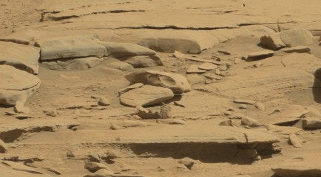 Strange objects on Mars dinosaur skull