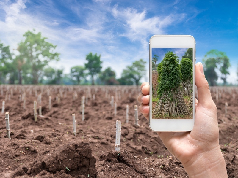 Smart agriculture. IOT В сельском хозяйстве. Датчики в сельском хозяйстве. Smart технологии в сельском хозяйстве. IOT датчики в сельском хозяйстве.