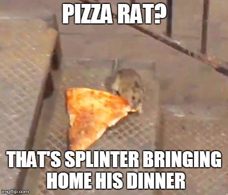 Pizza Rat Splinter