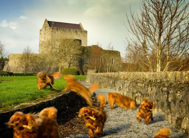 athenry_castle_shutterstock