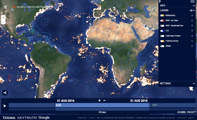 Interactive map shows over 35,000 fishing vessels at work on the world’s oceans