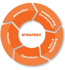 Enterprise Ireland's six pillars: strategy, operations, innovation, sales and marketing, finance, and people and management