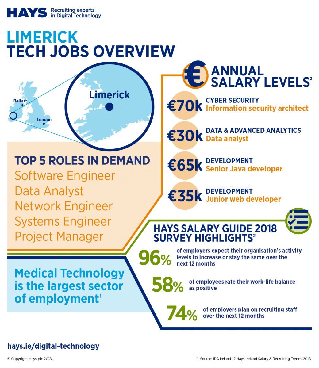 research jobs limerick