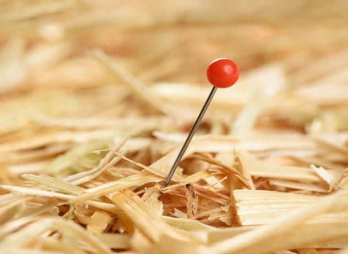 Close-up of a needle in haystack, representing data journalism.