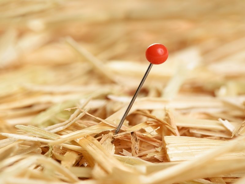 Close-up of a needle in haystack, representing data journalism.