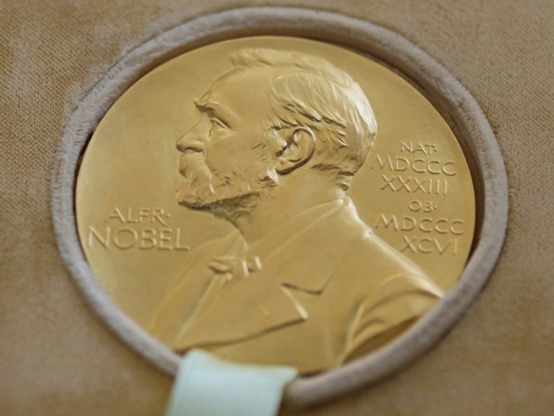 James P Allison and Tasuku Honjo awarded Nobel Prize for cancer therapies