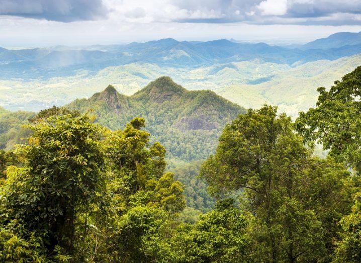 Expansive vista of green rainforest with hills and mountains.