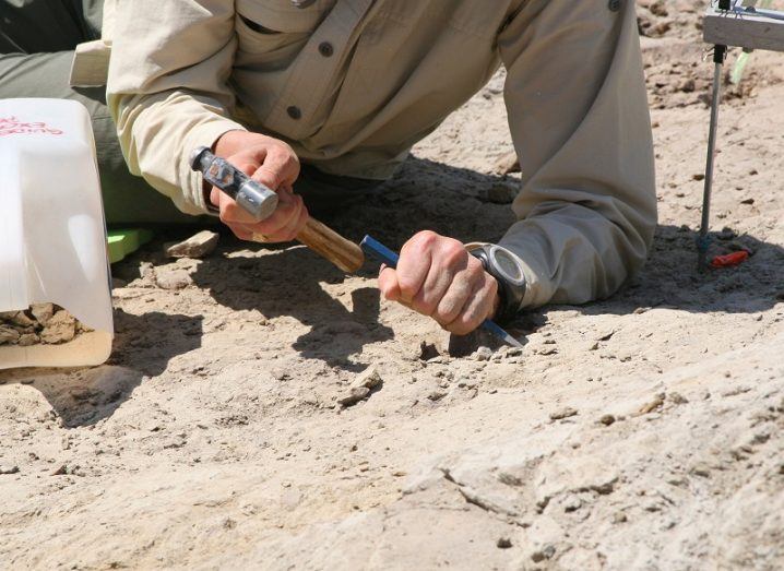 chisel being used in ground during archaeological dig.