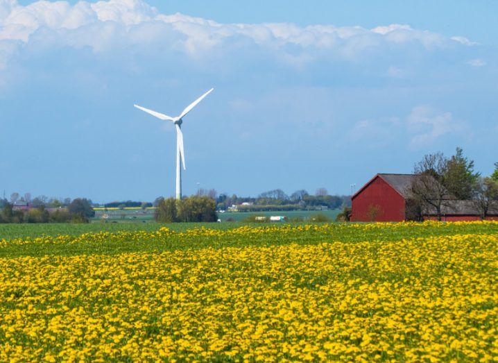 A wind generator on the blossoming fields in south Sweden.