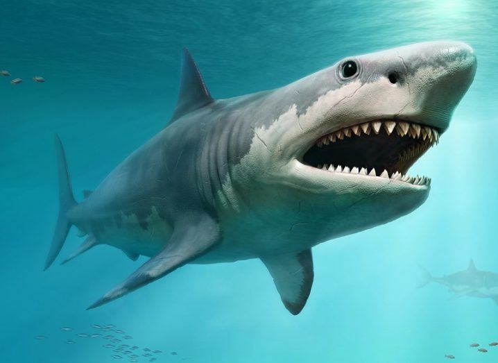 3D render of a megalodon shark swimming in an ocean.