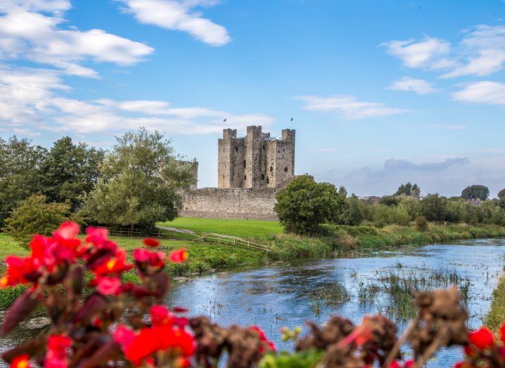 A picture of the Norman Castle in Trim under a blue sky alongside a river with red flowers in the foreground.