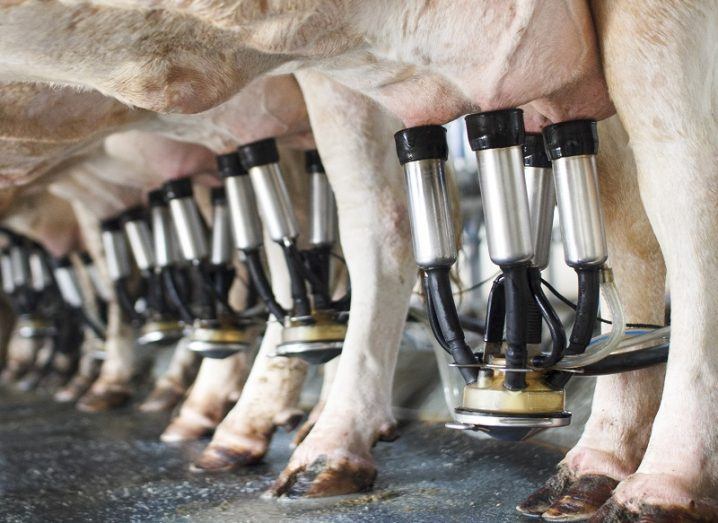 Ai Milking Tech Named Best In Show At Ploughing Championships Pre Event
