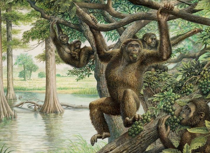 Illustration of Rudapithecus hanging from a tree with other apes beside a river.