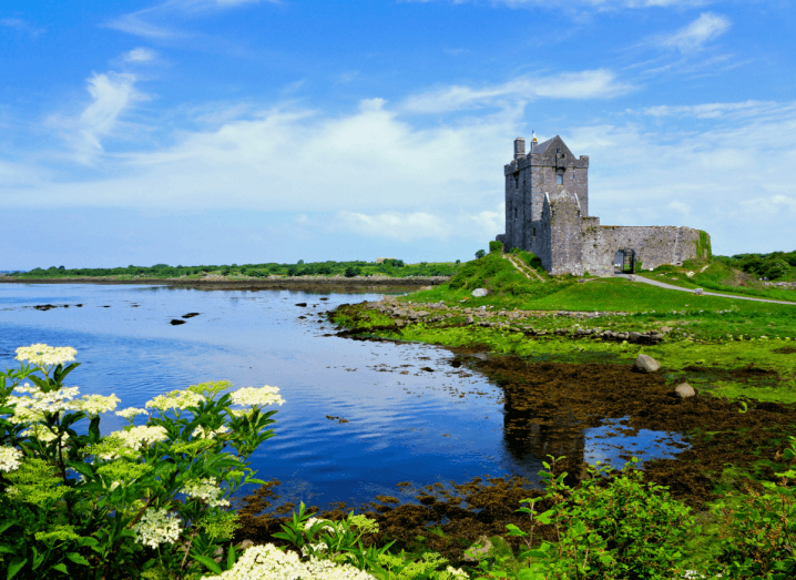 A grey castle in front of a body of water. At the foreground of the photo there are flowers. In the sky above there are a few clouds.