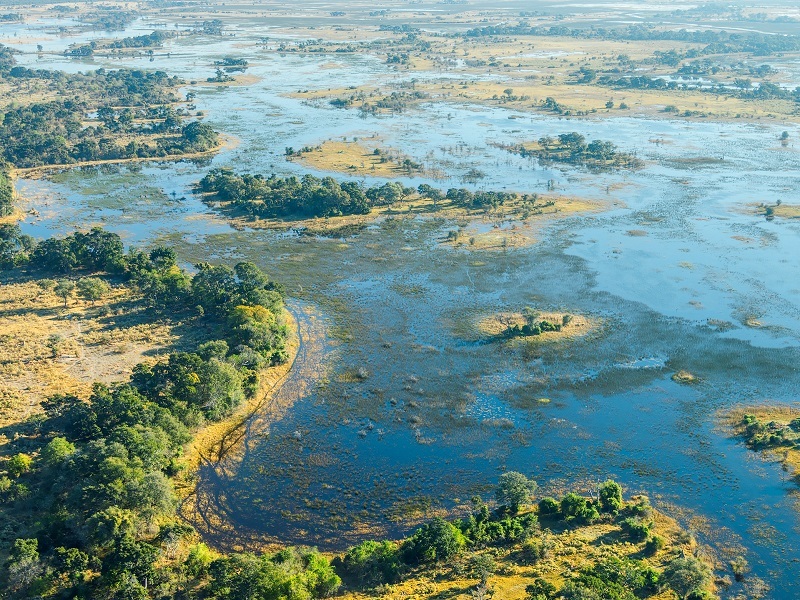 Is Botswana really humanity’s ancestral home? Actually, it’s complicated