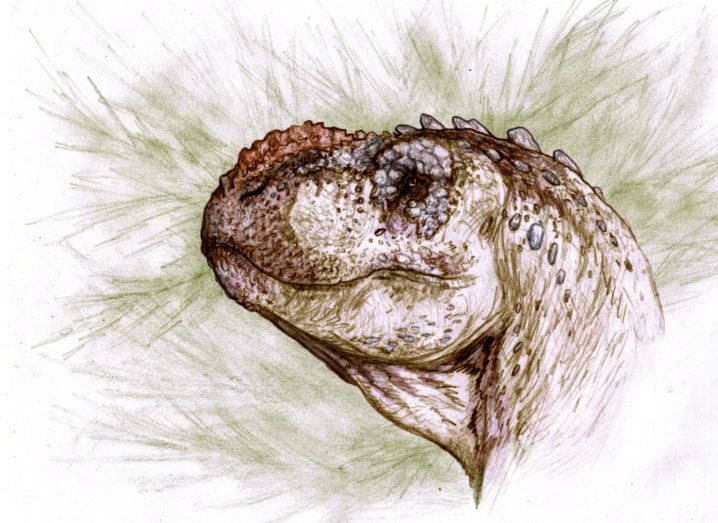 Drawing of the head of the Tralkasaurus against a green and white background.