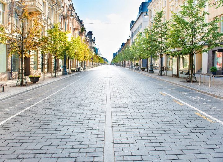 Empty city street lined with trees.