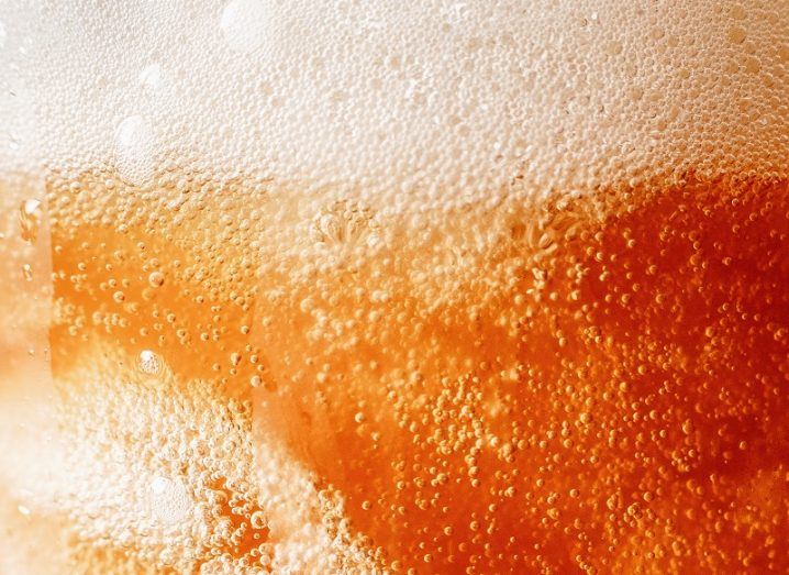 Close-up of a beer glass full of bubbles and beer.