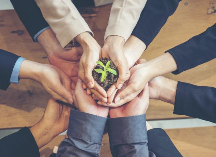 A group of people’s arms reach in to the centre of a circle, holding a small plant in soil, representing sustainability.