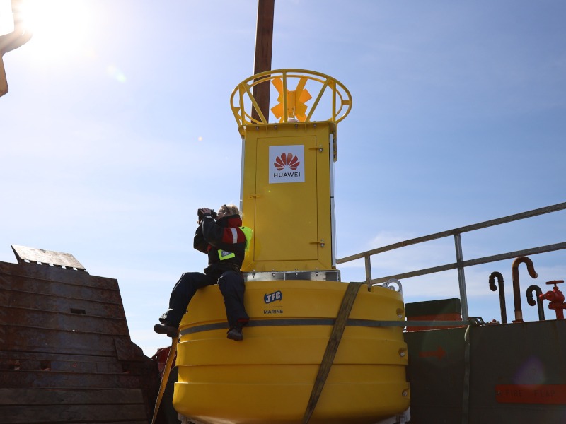 Smart Whale Sounds: A first-of-its-kind project off the coast of Cork