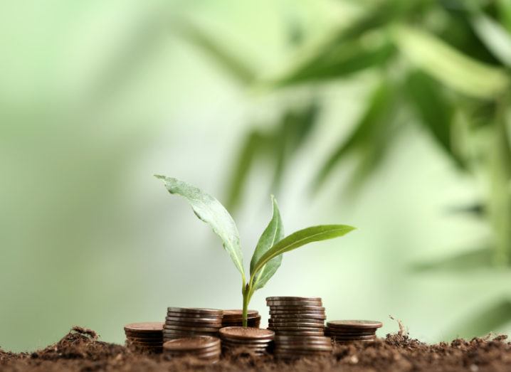 Stacked coins and a sapling on top of soil, symbolising seed funding.