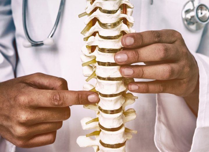 Close-up of a model of the human spine. A doctor holds onto the model and points to a vertebra with the other.