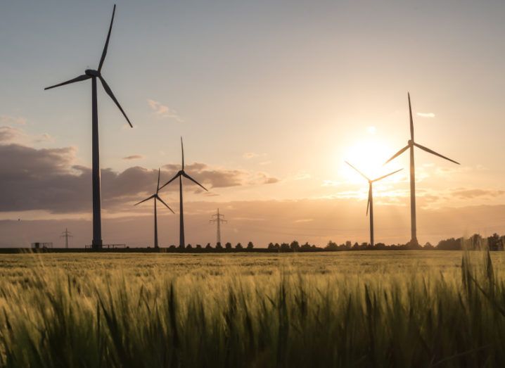 A large windfarm in a field at sunset.