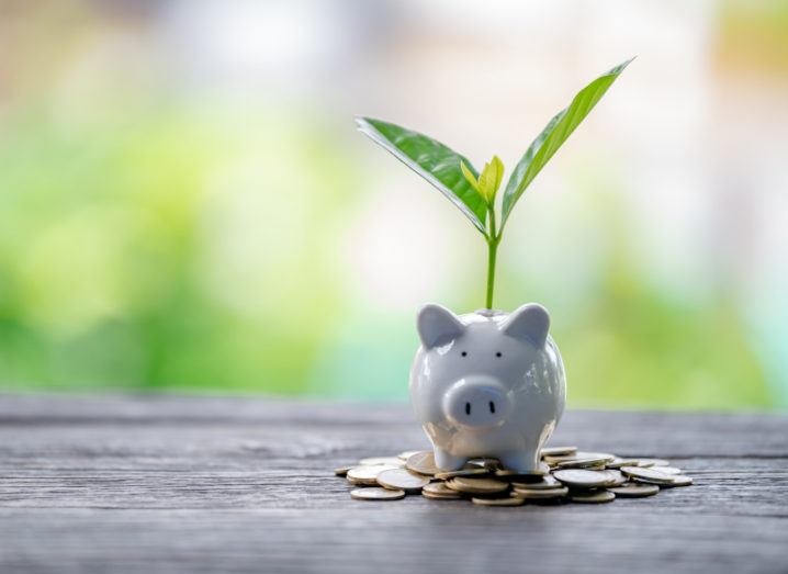 A small white piggy bank on top of a pile of coins. A green plant is sprouting from inside the piggy bank.