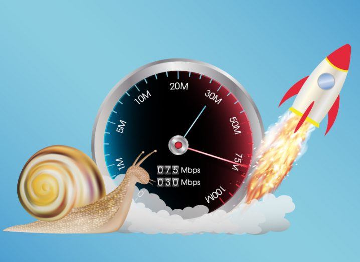 average speed of a snail