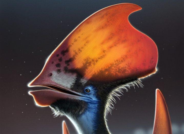 An artist's impression of a pterosaur with a head-crest covered in coloured feathers.