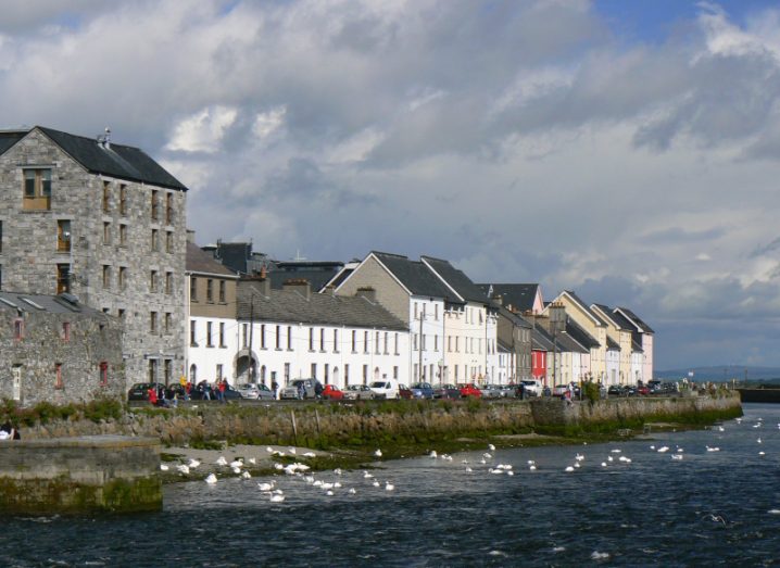 View of Spanish Arch in Galway city with houses and a harbour and white birds on water.