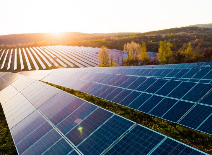 Long lines of solar panels at a solar farm within a luscious green landscape at sunset.