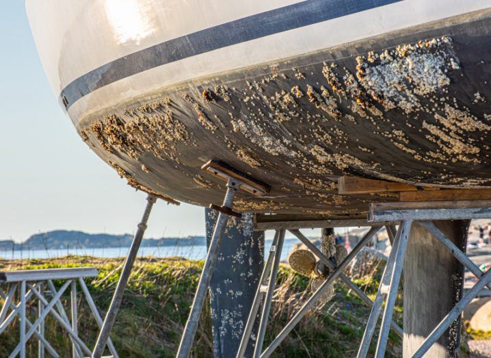 A close-up shot of a ship's hull with barnacles present. The ship is on a platform to dry it out and allow for barnacle removal.