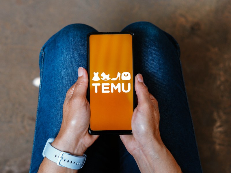 An image depicting the Temu app on a phone.