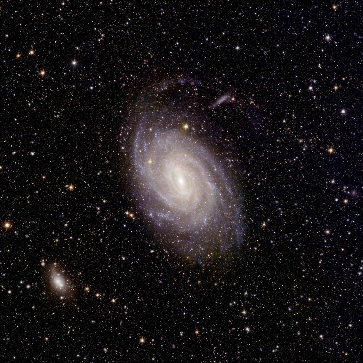 A large spiral galaxy in space, captured by Euclid.