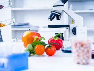 Research is growing high in Ireland’s food and drink sector