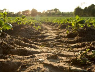 New sensor aims to help farmers cut back on chemical fertiliser