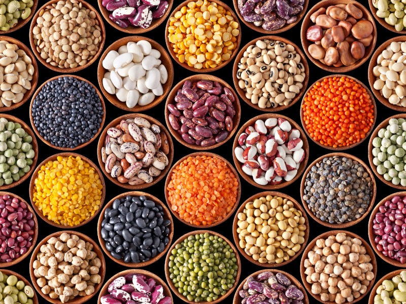 Project to sprout legume diversity wins EU citizen science prize