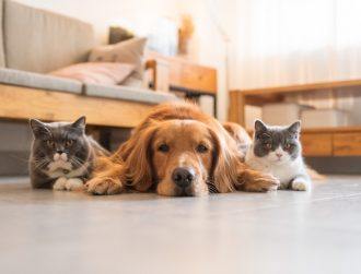 How your favourite PETs can enable secure automation