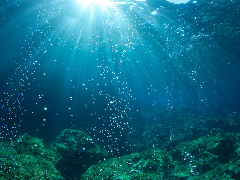 Air bubbles floating up to the surface of the water, with sunlight peering into the ocean. Used for the concept of dark oxygen being produced on the ocean floor.