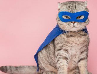 CEOs are not superheroes and they don’t need to be, says expert