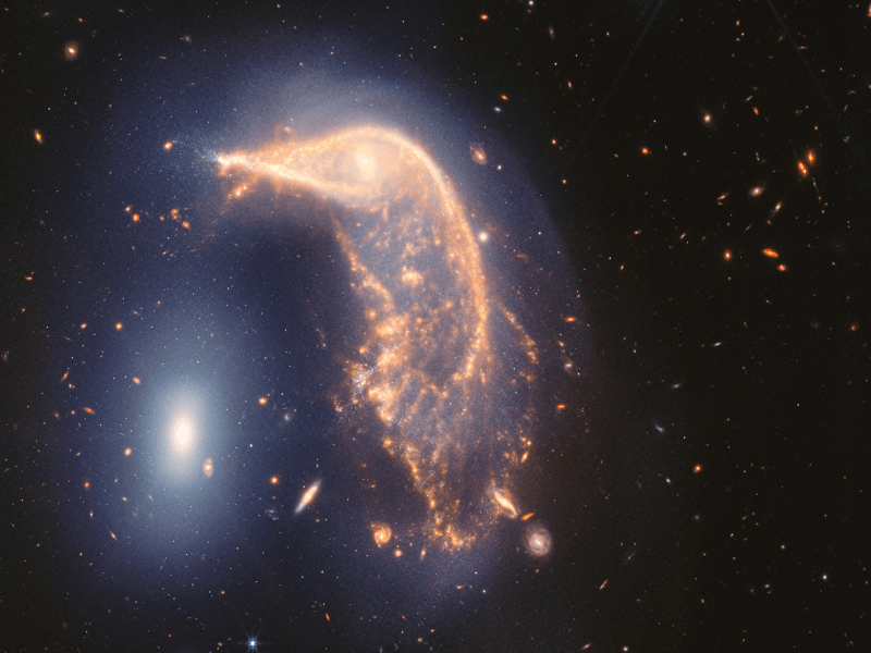 Two galaxies swirling next to each other, with one looking like a penguin next to a smaller egg. Taken by the James Webb Space Telescope.