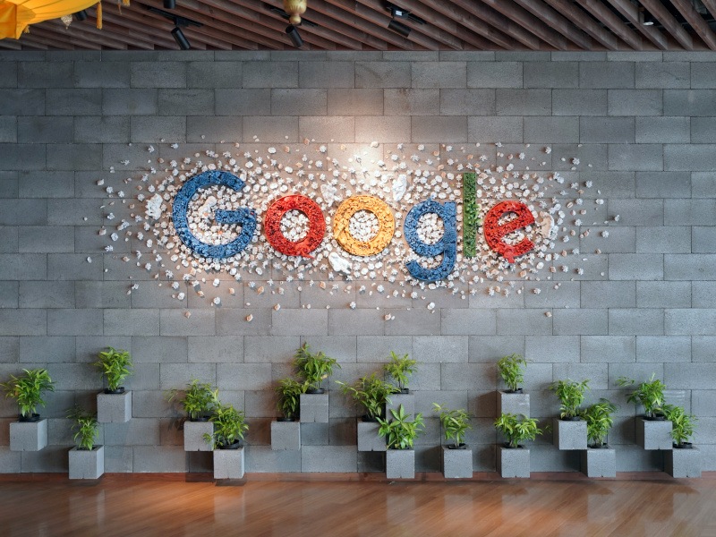 The Google logo on a brick wall with a light shining on it and plants below it.