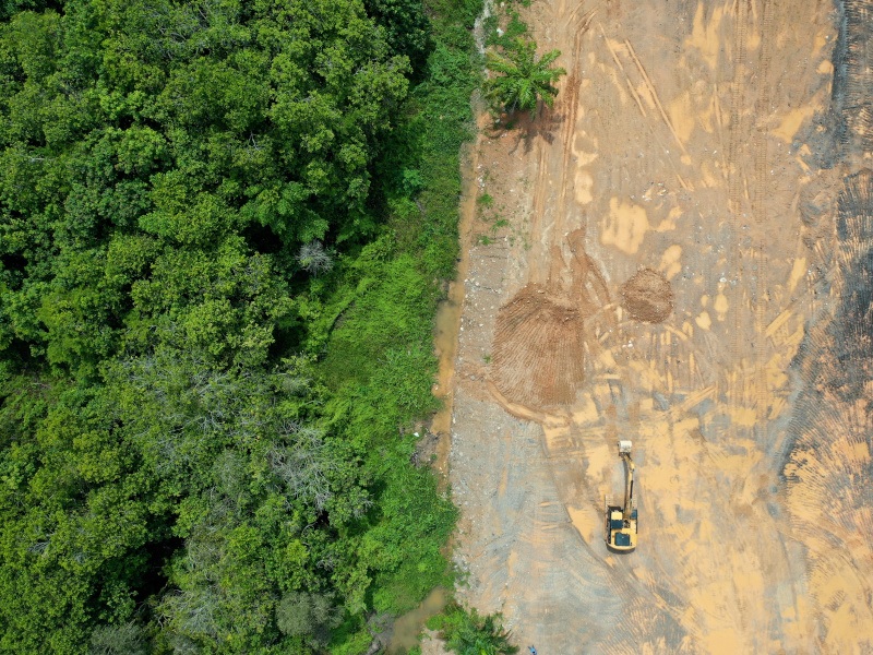 An aerial view of a a forest, with a large section cut down.